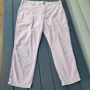 Anthropologie Pistola Mara Pants 33